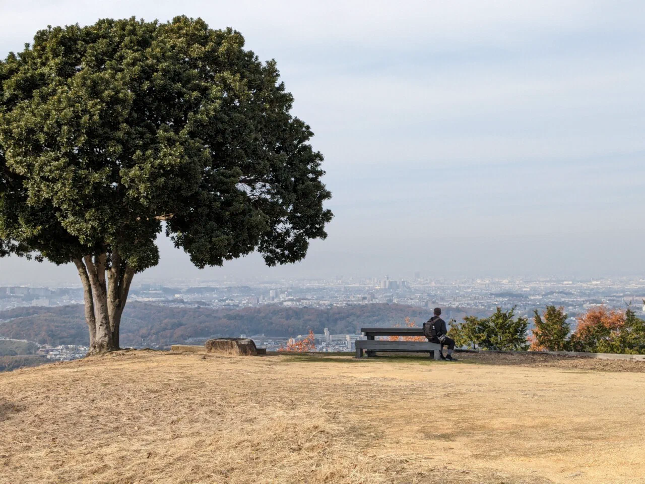 December 9th – Hike at Mt Take (1/2)