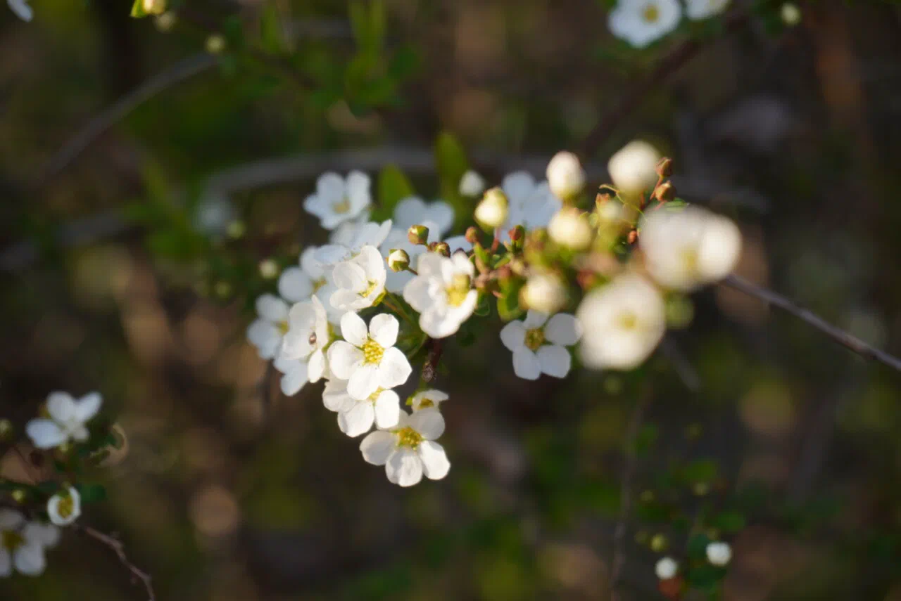 March 16th – On the philosopher’s path (2/2)