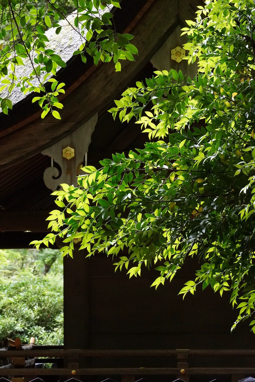 June 30th – At the Kamigamojinja sanctuary (1/2)