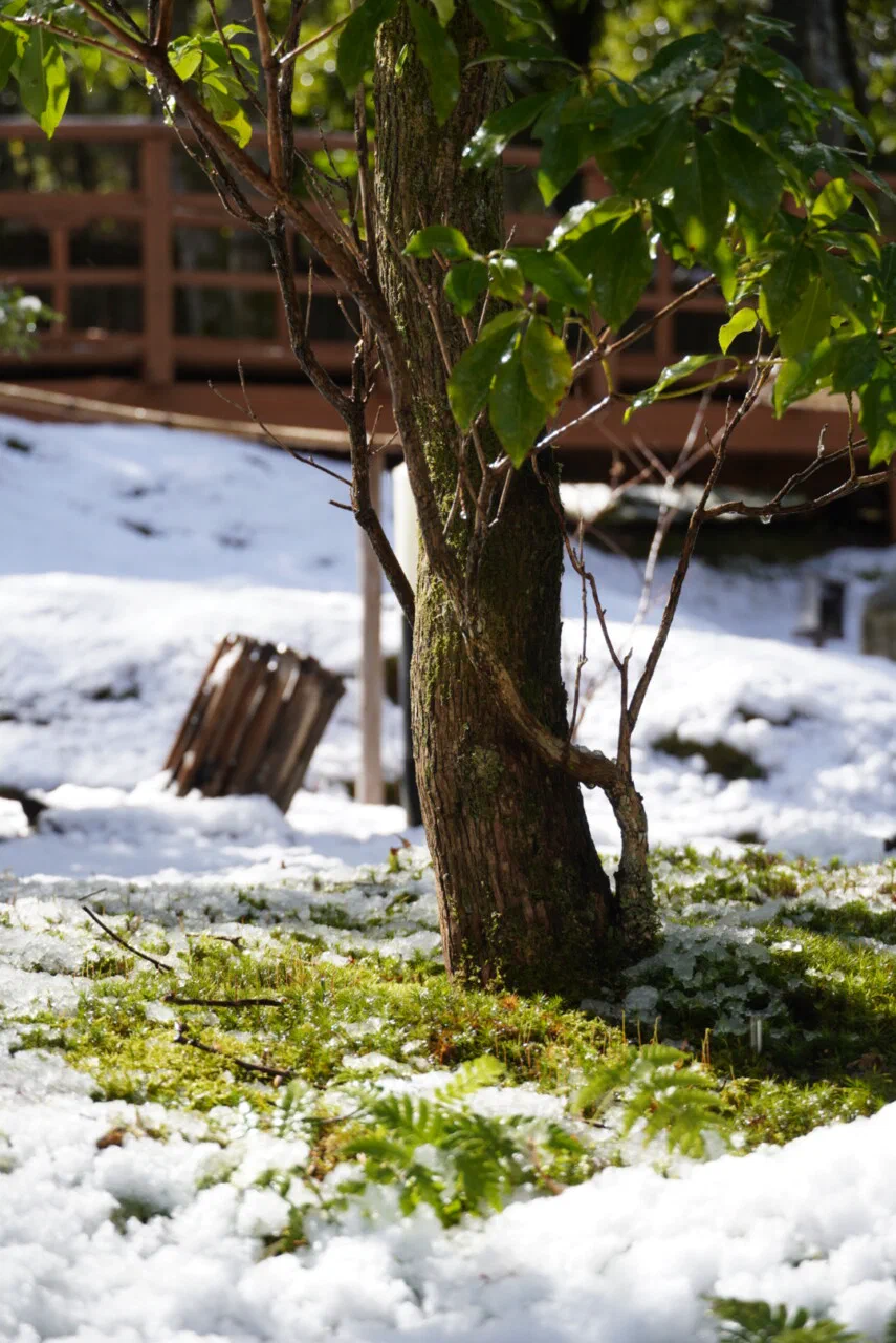 February 24th – Around Bukkyo University