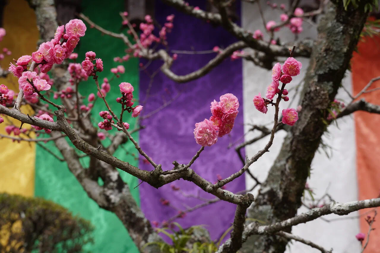 March 30th – At Hozan-ji temple