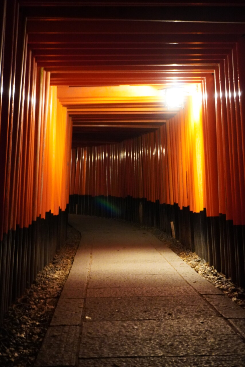 In Fushimi Inari Taisha at night…