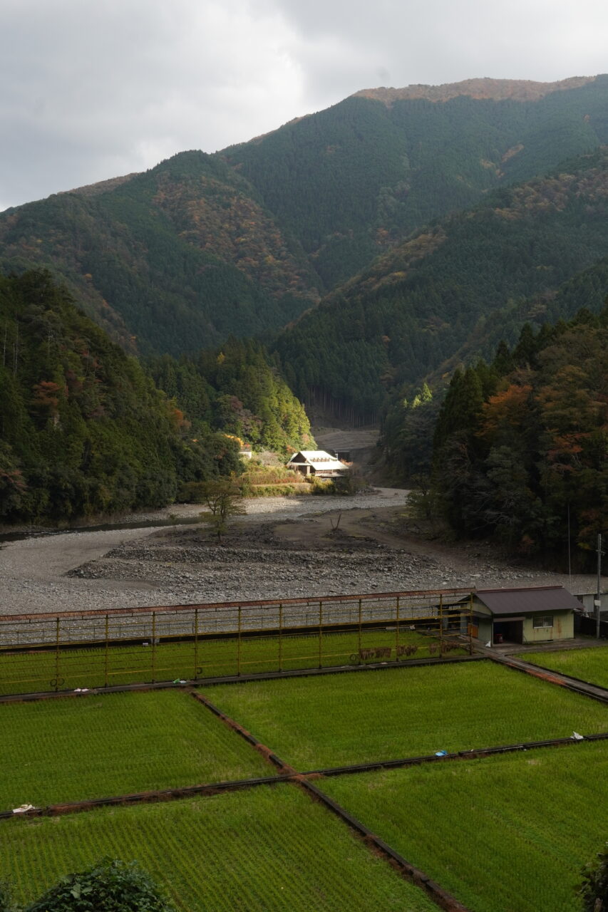 Kohechi