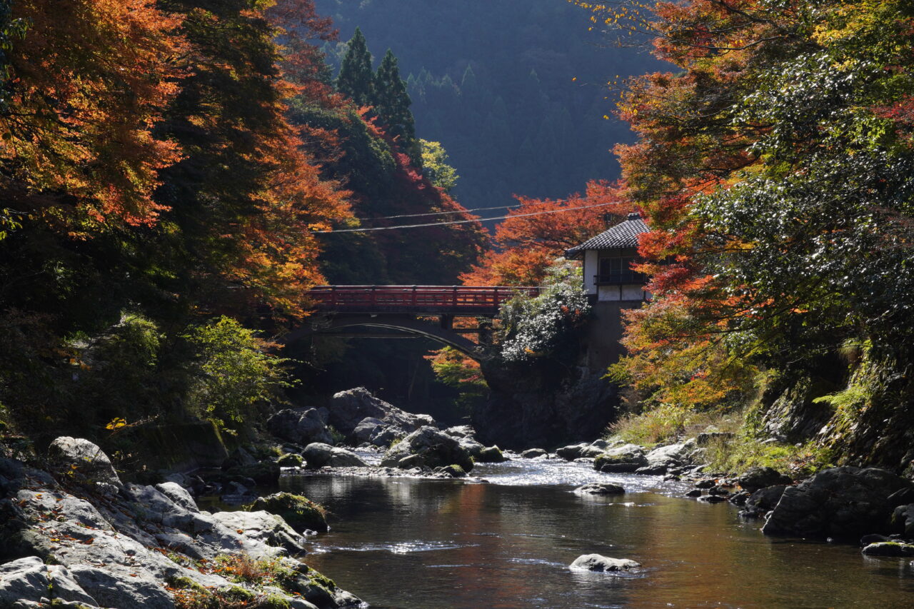 Hiking Along the Water, Again