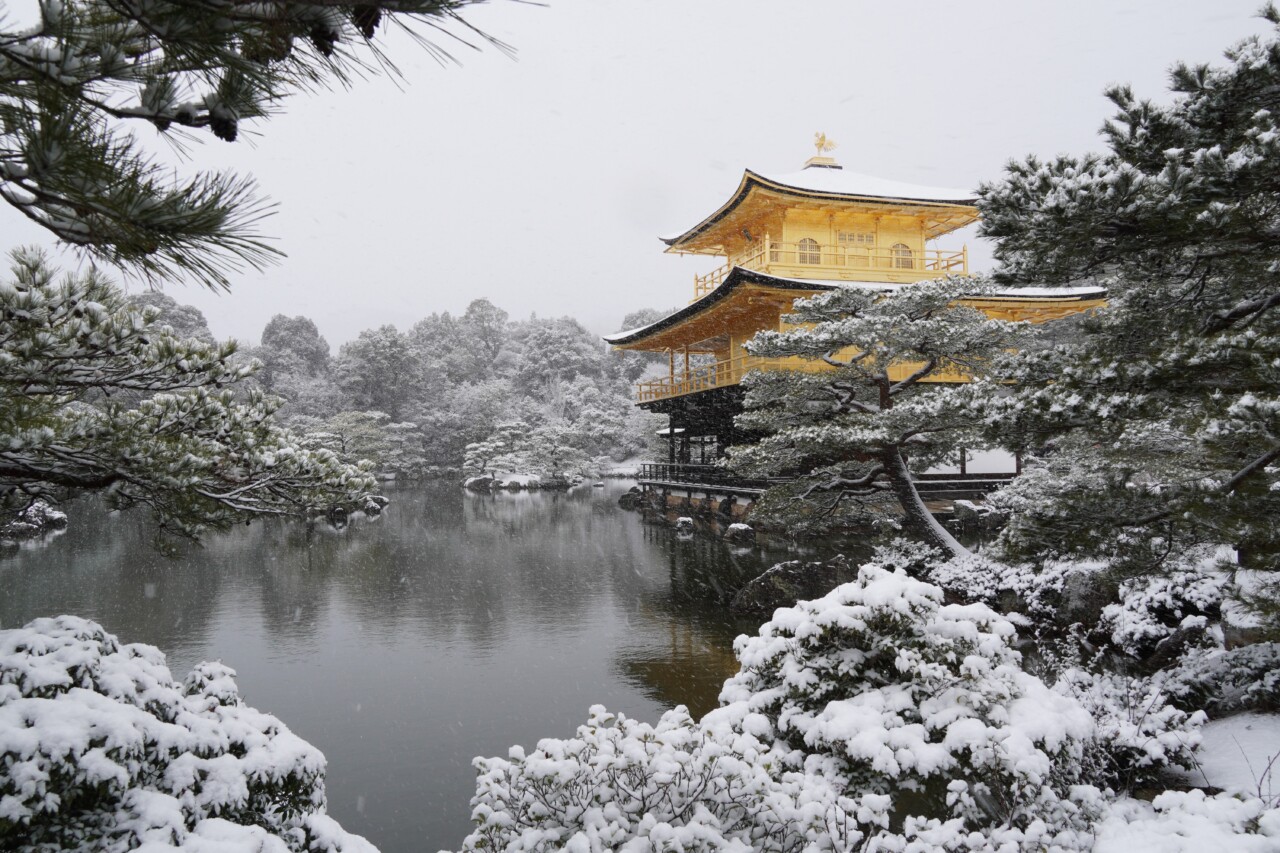 A snowy Sunday